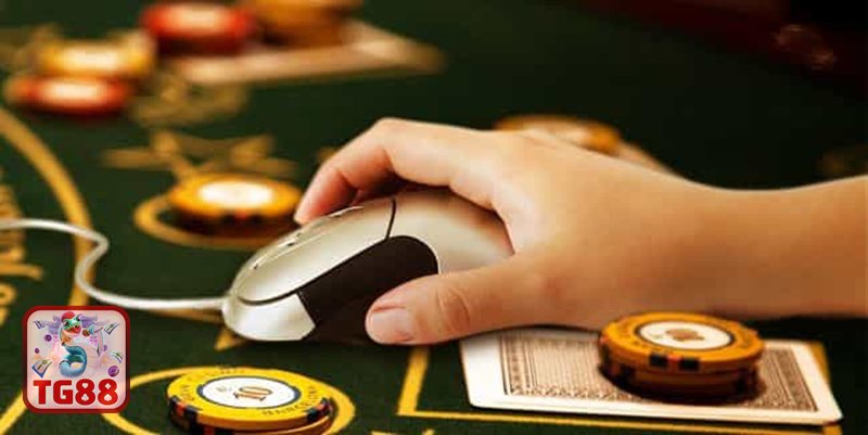 Giấy Phép Hoạt Động TG88 - Phạm vi phát triển rõ ràng Giấy Phép Hoạt Động TG88 - Phạm vi phát triển rõ ràng